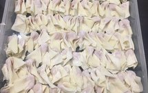 南方柴火小鲜肉馄饨