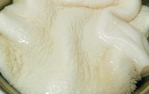 轻松把牛肚变白的方法