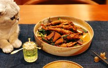 暴力美食 ｜ 鸭脚包