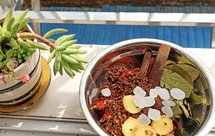 家庭自制周黑鸭