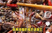 辣卤鸭舌-下酒菜