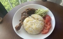 香喷喷的红烧鸭腿盖浇饭