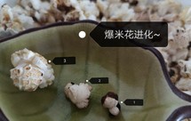 『微波炉爆米花』不用油就让你的玉米粒开花花~