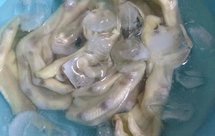 秘制柠檬泡鸡爪 鸭爪