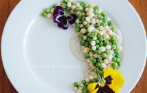 大珠小珠落玉盘--青豆鸡头米小炒