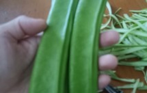 大大大大大大刀豆怎么吃