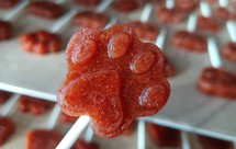 消食开胃山楂软棒～可延伸口味！