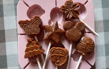 山楂棒棒糖烘干机版（不加吉利丁片、糯米粉）