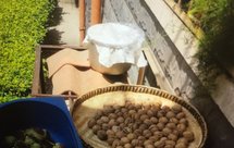 传承老味道#西瓜豆瓣酱