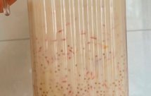 无榨汁机版杨枝甘露