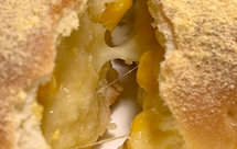 奶酪饼/豆沙饼（平底锅及烤箱版）