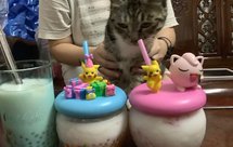 西柚芒果西米露