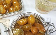 止咳润喉金桔膏