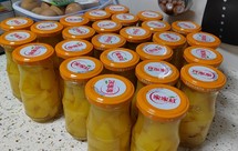 自制黄桃罐头