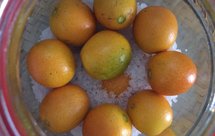 老中医推荐的止咳化痰咸金桔