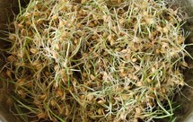 古法自制麦芽糖+山楂六物膏+六物膏棒棒糖