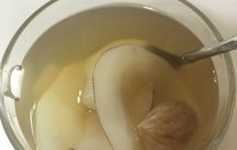 润肺止咳化痰无花果海底椰雪梨水