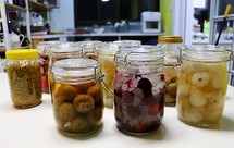 水果酒（青梅，蓝莓，樱桃，荔枝，李子，杏子，桃子……）