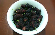 [快手甜品]桑葚汁/桑葚果冻/桑葚奶昔