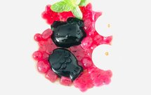 火龙果阿达籽黑凉粉