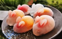 兔女郎水果冰（配酒，配饮料，爽心又爽口）