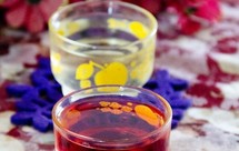 双色双味李子酒