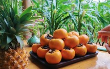 脆脆的懒柿子（涩变甜）