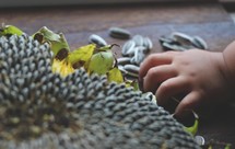 好吃不上火的五香瓜子