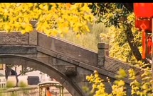 养生之12种超级食物 醪糟 桂圆 绿豆芽 甘蔗