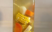 饮料:甘蔗红萝卜玉米