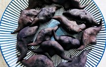 【盐水菱角】皮脆肉粉嫩，老少皆宜