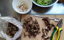 剥菱角(钳子版)