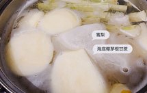 雪梨海底椰菊花茅根膏