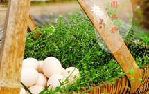 荠菜花煮鸡蛋（这天吃一年不头疼）