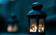 低蛋白主食、淀粉食谱