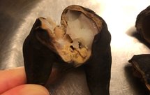 菱角的煮法、吃法、注意