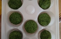 湘味蒿子粑粑(青团)