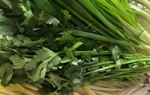香葱、韭黄、香菜的保存