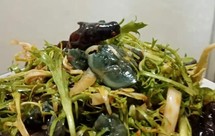 拌木耳，苦菊，松花蛋