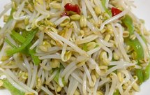 零失败自发绿豆芽