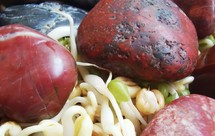 生绿豆芽“粗壮”妙招