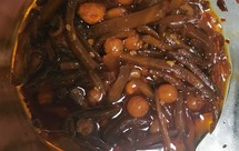 油炒芥菜咸菜丝