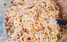 没有香油用的单一凉拌黄豆芽