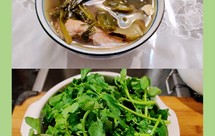 南北杏海底椰炖西洋菜