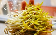 自发绿豆芽和黄豆豆浆，不怕没菜了(*^_^*)
