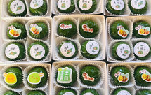 青团—马兰头香干馅