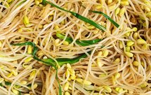 五分钟的家常菜｜爆炒黄豆芽