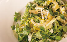 GALLO——茴香西洋菜色拉配石榴油醋汁