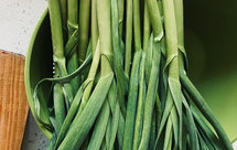 吃一年新鲜大蒜叶的存储方法