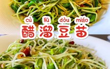 炒｜醋溜豆苗Fried Bean Seedling